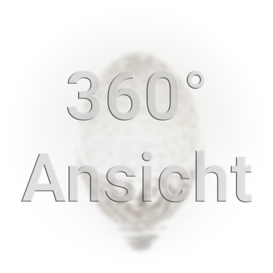 360° Ansicht Vorschaubild. 3D Druck eines ovalen Teelichthalters in weiß, bestehend aus einer futuristischen wabenförmigen Struktur.